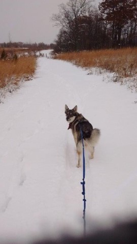 Omg, This Path Will Never End!